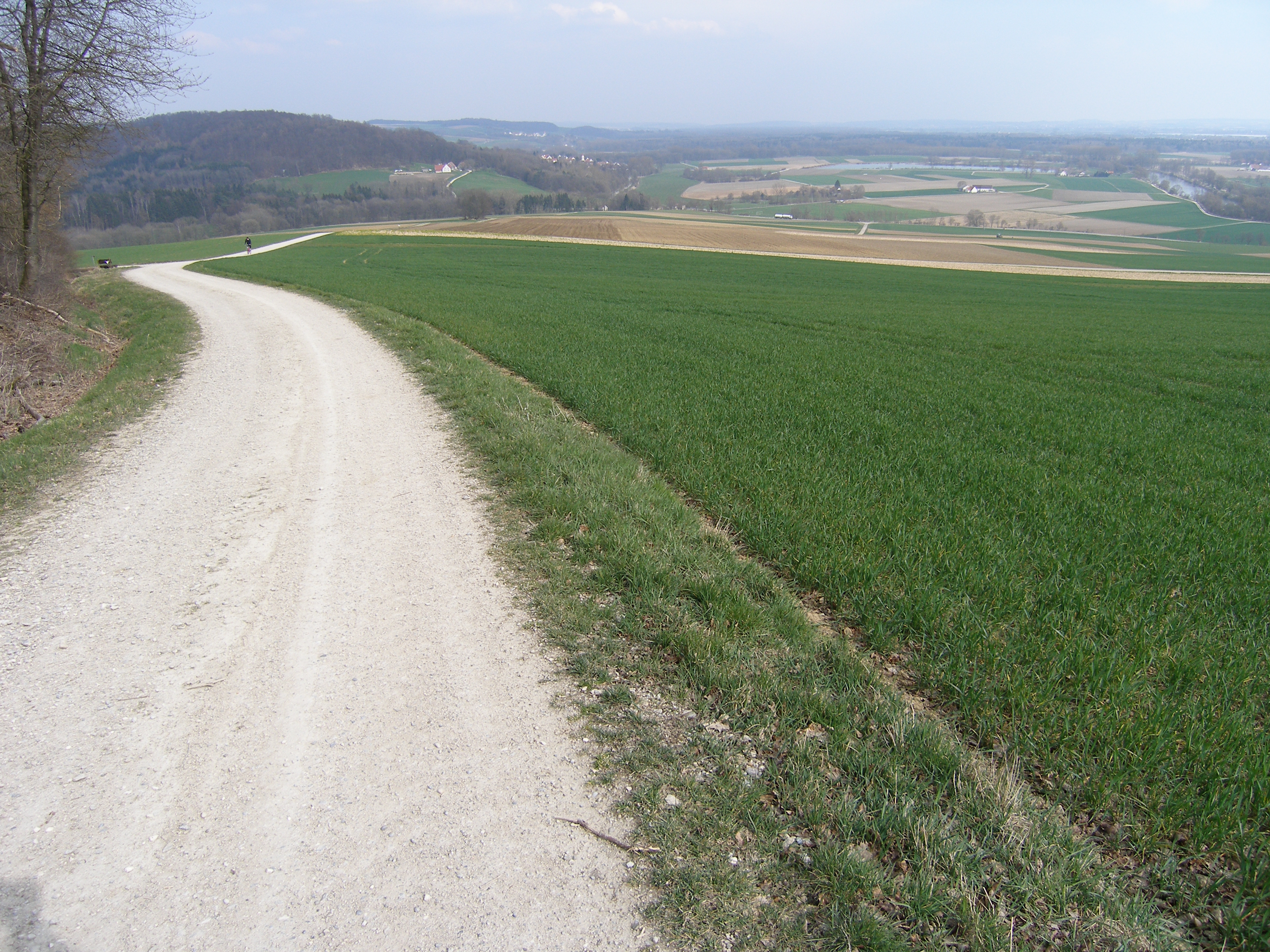 Edelweißweg mit Blick übers Donautal Donauwörth